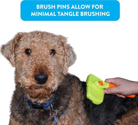 Show full view: Rinse Ace Self-Cleaning Retractable Bristle Pet Brush, Large slide 8 of 9