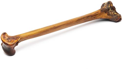 Show full view: Roam Forever Bone Ostrich Dog Bone, 1 count slide 4 of 6