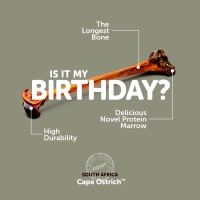 Show full view: Roam Forever Bone Ostrich Dog Bone, 1 count slide 5 of 6