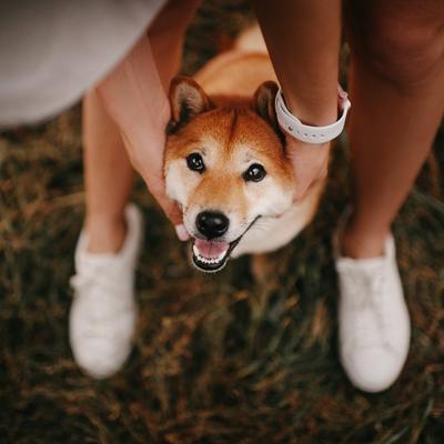 Show full view: Roam Ossy Chews Cape Ostrich Dog Treats, 3-oz pouch slide 8 of 8