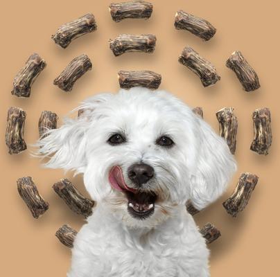 Show full view: Roam Ossy Cuts Cape Ostrich Dog Treats, 2 count slide 7 of 8