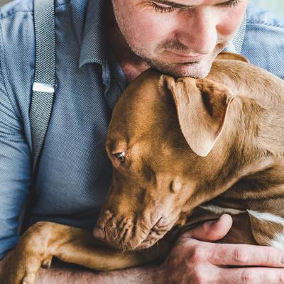 Show full view: Roam Ossy Hide Cape Ostrich Dog Treats, 2 count slide 8 of 9