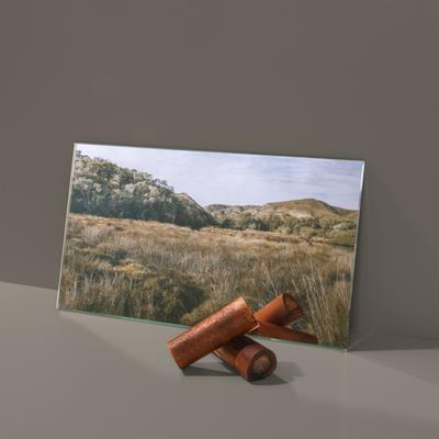 Show full view: Roam Smoked Marrow Cape Ostrich XL Bone Dog Treats, 2 count slide 6 of 8