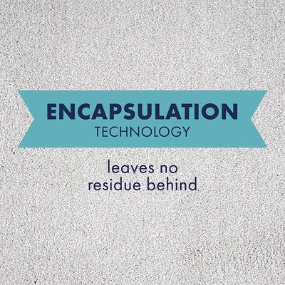 Show full view: Rocco & Roxie Supply Co. Professional Strength Oxy Carpet Shampoo, 32-fl oz bottle slide 6 of 7