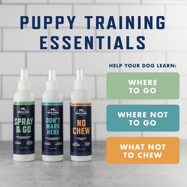 Rocco & Roxie Supply Co. Spray & Go Dog Training Spray, 8-oz bottle