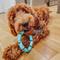 Show in main carousel: Rocket & Rex Small & Medium Breeds Puppy Chew Toy Variety Pack, 6 count slide 14 of 18