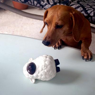 Show full view: Rocket & Rex Squeakers, Rope & Plush Dog Toy Gift Set, 3 count slide 7 of 10