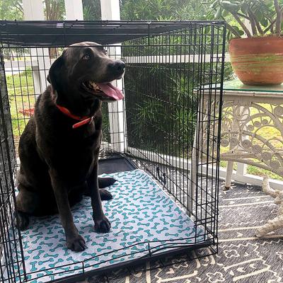 Show full view: Rocket & Rex Washable Puppy Training Pads, Large: 36 x 30-in, 2 count, Unscented slide 6 of 12