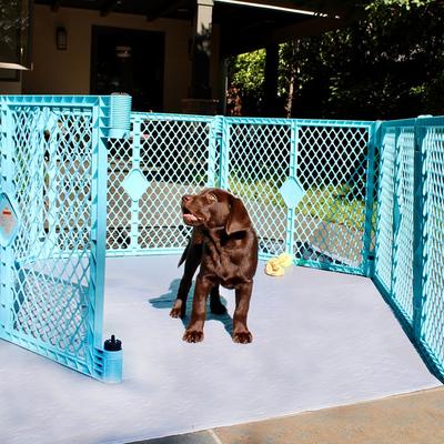 Show full view: Rocket & Rex Washable Puppy Training Pads, X-Large: 60 x 60-in slide 8 of 12