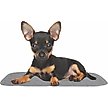 Show in main carousel: Rocket & Rex Washable Puppy Training Pads, X-Small: 17.5 x 11-in, 2 count slide 7 of 10