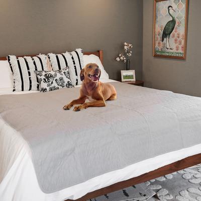 Show full view: Rocket & Rex Washable Puppy Training Pads, XX-Large: 72 x 72-in slide 8 of 12