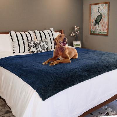 Show full view: Rocket & Rex Waterproof Cat & Dog Blanket, Blue, X-Large slide 4 of 10