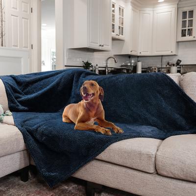 Show full view: Rocket & Rex Waterproof Cat & Dog Blanket, Blue, X-Large slide 6 of 10