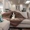 Show in main carousel: Rocket & Rex Waterproof Cat & Dog Blanket, Brown, Medium slide 5 of 12