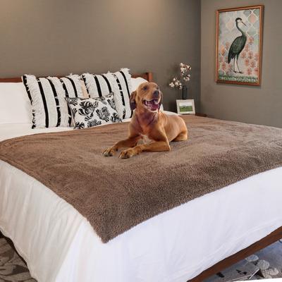 Show full view: Rocket & Rex Waterproof Cat & Dog Blanket, Brown, X-Large slide 4 of 10