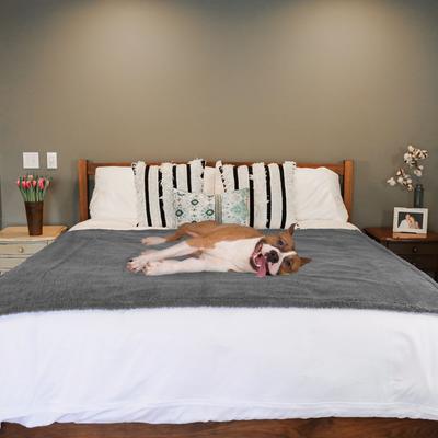 Show full view: Rocket & Rex Waterproof Cat & Dog Blanket, Gray, Large slide 4 of 11