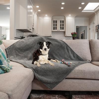 Show full view: Rocket & Rex Waterproof Cat & Dog Blanket, Gray, Large slide 8 of 11