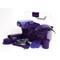 Show in main carousel: Roma Ultimate Horse Grooming Kit, Purple slide 1 of 1
