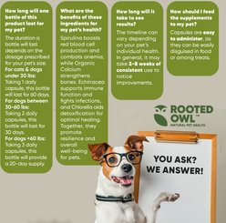 Rooted Owl Natural Blood Support Vegan Capsules Supplement with Spirulina & Chlorella for Dogs & Cats, 60 count slide 2 of 9