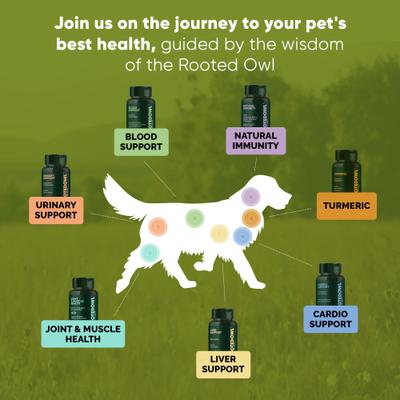 Show full view: Rooted Owl Natural Blood Support Vegan Capsules Supplement with Spirulina & Chlorella for Dogs & Cats, 60 count slide 9 of 12