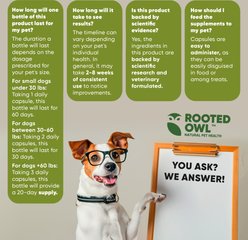 Rooted Owl Natural Cardio Support Capsules Supplement with L-Taurine & L-Carnitine for Dogs, 60 count slide 2 of 9