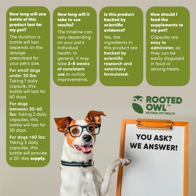 Show full view: Rooted Owl Natural Cardio Support Capsules Supplement with L-Taurine & L-Carnitine for Dogs, 60 count slide 10 of 12