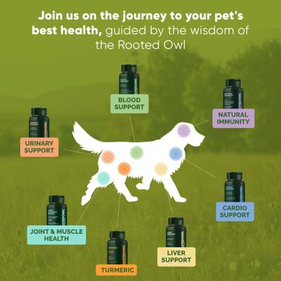 Show full view: Rooted Owl Natural Cardio Support Capsules Supplement with L-Taurine & L-Carnitine for Dogs, 60 count slide 9 of 12