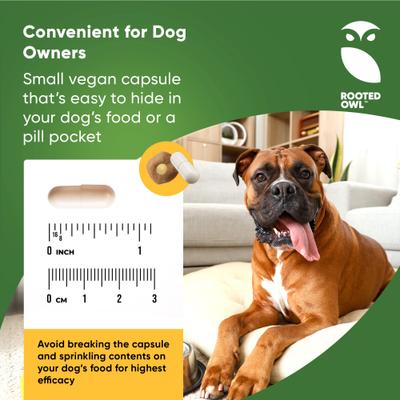 Show full view: Rooted Owl Natural Cardio Support Capsules Supplement with L-Taurine & L-Carnitine for Dogs, 60 count slide 6 of 12