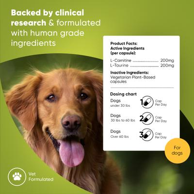 Show full view: Rooted Owl Natural Cardio Support Capsules Supplement with L-Taurine & L-Carnitine for Dogs, 60 count slide 3 of 12