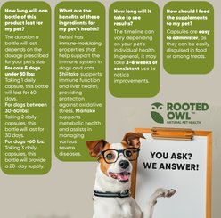 Rooted Owl Natural Immunity Vegan Capsules Supplement with Triple Mushroom Blend for Dogs & Cats, 60 count slide 2 of 9