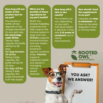 Show full view: Rooted Owl Natural Immunity Vegan Capsules Supplement with Triple Mushroom Blend for Dogs & Cats, 60 count slide 10 of 12