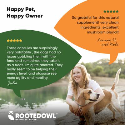 Show full view: Rooted Owl Natural Immunity Vegan Capsules Supplement with Triple Mushroom Blend for Dogs & Cats, 60 count slide 8 of 12