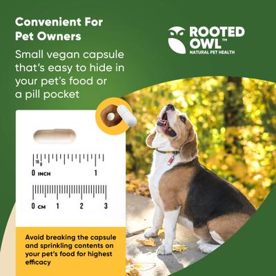 Show full view: Rooted Owl Natural Immunity Vegan Capsules Supplement with Triple Mushroom Blend for Dogs & Cats, 60 count slide 6 of 12