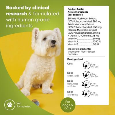 Show full view: Rooted Owl Natural Immunity Vegan Capsules Supplement with Triple Mushroom Blend for Dogs & Cats, 60 count slide 3 of 12