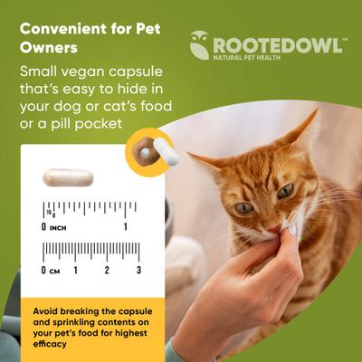 Show full view: Rooted Owl Natural Joint & Muscle Health Capsules Supplement for Cats & Small Dogs with UC-II Collagen, 30 count slide 6 of 12