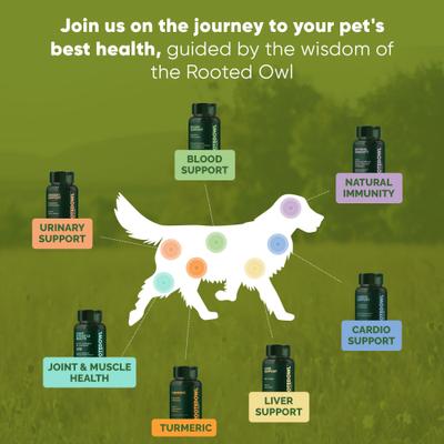 Show full view: Rooted Owl Natural Joint & Muscle Health Capsules Supplement for Medium & Large Dogs with UC-II Collagen, 30 count slide 9 of 12