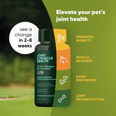Show full view: Rooted Owl Natural Joint & Muscle Health Capsules Supplement for Medium & Large Dogs with UC-II Collagen, 30 count slide 4 of 12