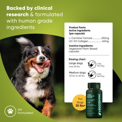 Show full view: Rooted Owl Natural Joint & Muscle Health Capsules Supplement for Medium & Large Dogs with UC-II Collagen, 30 count slide 3 of 12