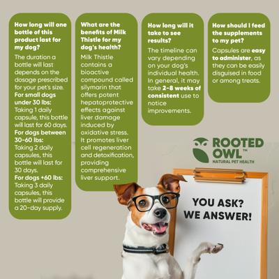 Show full view: Rooted Owl Natural Liver Support Vegan Capsules Supplement with Milk Thistle for Dogs, 60 count slide 10 of 12