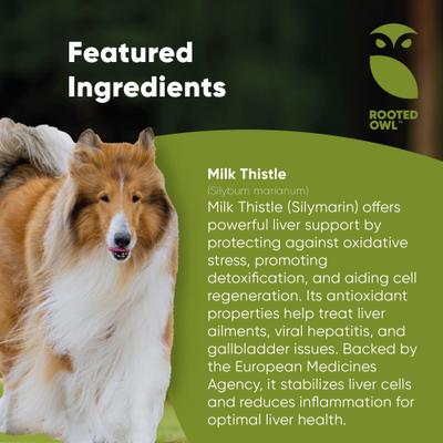Show full view: Rooted Owl Natural Liver Support Vegan Capsules Supplement with Milk Thistle for Dogs, 60 count slide 5 of 12