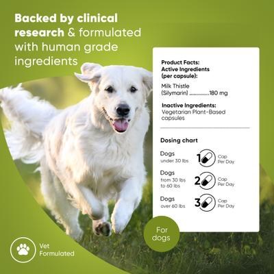 Show full view: Rooted Owl Natural Liver Support Vegan Capsules Supplement with Milk Thistle for Dogs, 60 count slide 3 of 12