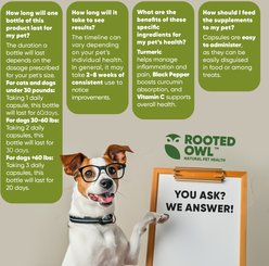 Rooted Owl Natural Turmeric Vegan Capsules Vitamin Supplement with Black Pepper for Dogs & Cats, 60 count slide 2 of 9