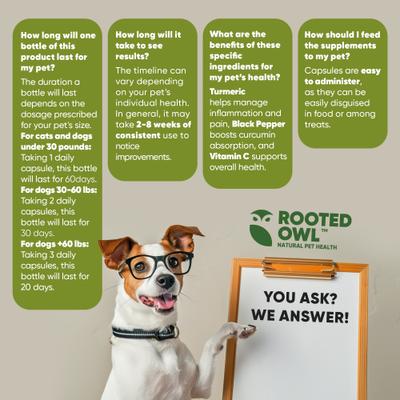 Show full view: Rooted Owl Natural Turmeric Vegan Capsules Vitamin Supplement with Black Pepper for Dogs & Cats, 60 count slide 10 of 12