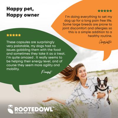 Show full view: Rooted Owl Natural Turmeric Vegan Capsules Vitamin Supplement with Black Pepper for Dogs & Cats, 60 count slide 8 of 12