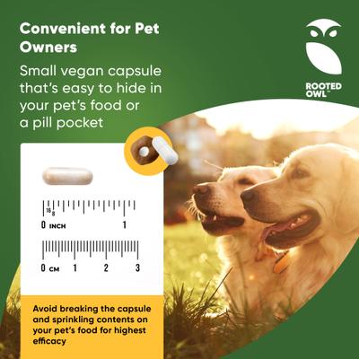 Show full view: Rooted Owl Natural Turmeric Vegan Capsules Vitamin Supplement with Black Pepper for Dogs & Cats, 60 count slide 6 of 12