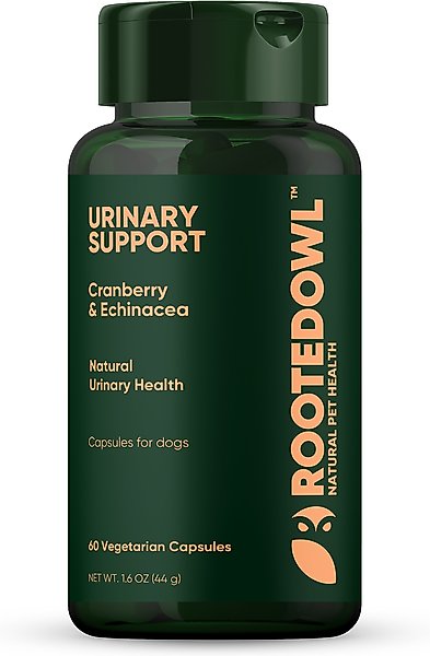 Show full view: Rooted Owl Natural Urinary Support Vegan Capsules Supplement with Cranberry for Dogs, 60 count slide 1 of 11