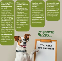 Rooted Owl Natural Urinary Support Vegan Capsules Supplement with Cranberry for Dogs, 60 count slide 2 of 9