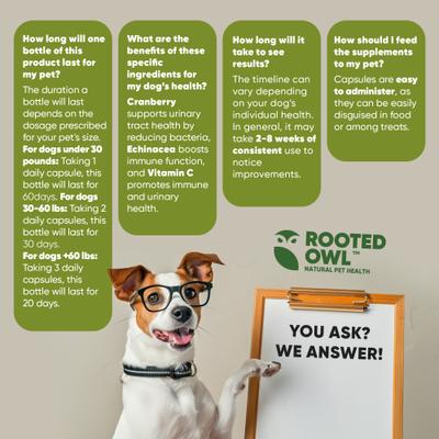 Show full view: Rooted Owl Natural Urinary Support Vegan Capsules Supplement with Cranberry for Dogs, 60 count slide 10 of 12