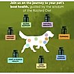 Show in main carousel: Rooted Owl Natural Urinary Support Vegan Capsules Supplement with Cranberry for Dogs, 60 count slide 8 of 11