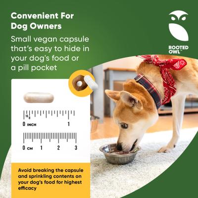 Show full view: Rooted Owl Natural Urinary Support Vegan Capsules Supplement with Cranberry for Dogs, 60 count slide 6 of 12